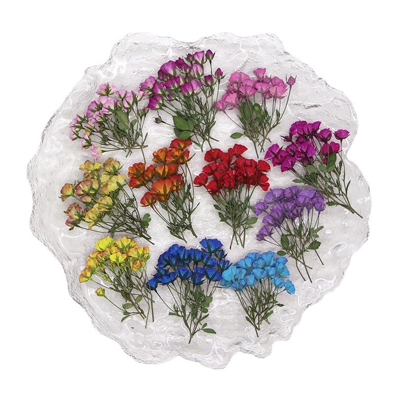 Dried Flower Bookmark - براعم الورد المصبوغة المجففة المضغوطة متعددة