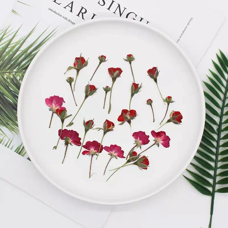 Dried Flower Bookmark - الجانب الجاف ضغط زهرة النبات هيرباريوم