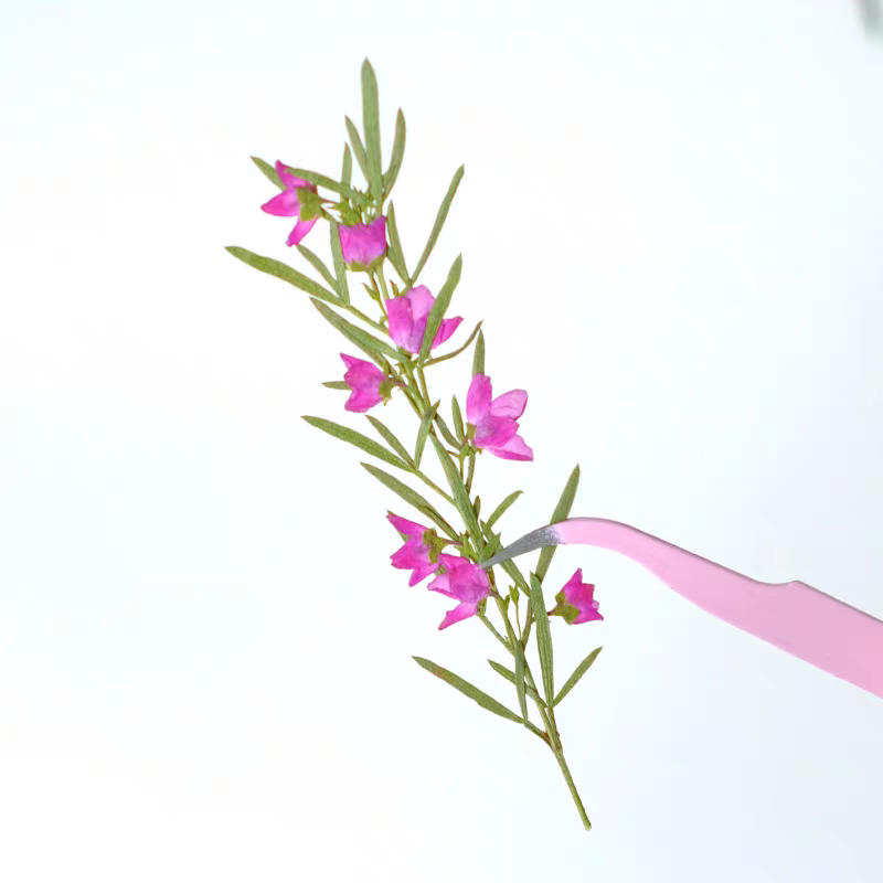 100 قطعة من زهور أيديا كانثيوي - مراجعة Dried Flower Bookmark وسعره