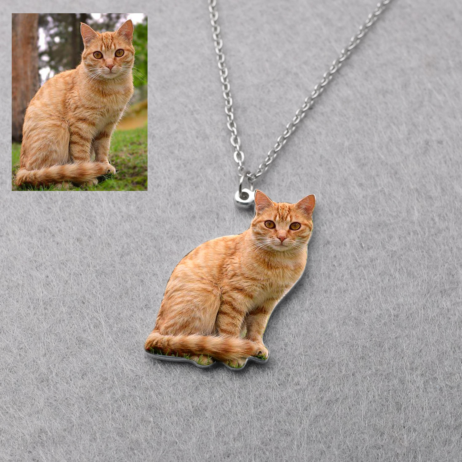 قلادة مخصصة بصورة الحيوانات ال - مراجعة Pet Portrait Custom وسعره
