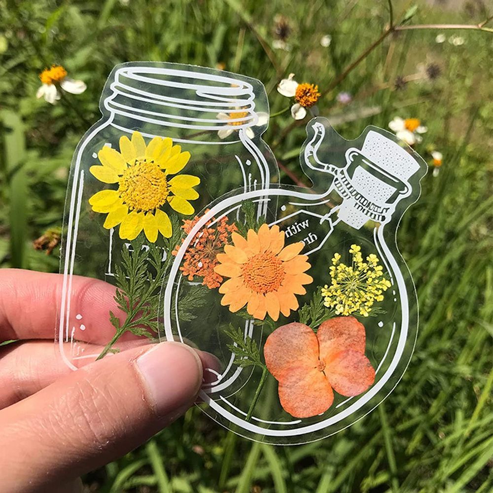 علامات كتب شفافة مجففة ، صانع  - مراجعة Dried Flower Bookmark وسعره